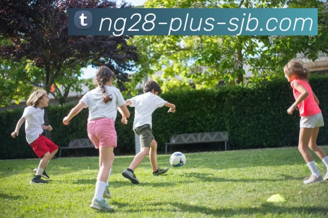 南宫28，南宫28官网，南宫28官方网站，南宫28入口，南宫28APP平台生态图